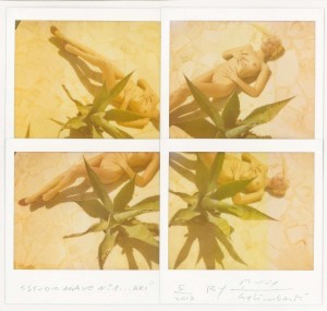 AristudioAgave 001, Cisternino, 2013, Mosaico di 4 Polaroid, cm 17x19,6 